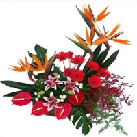 Exotic Arrangement